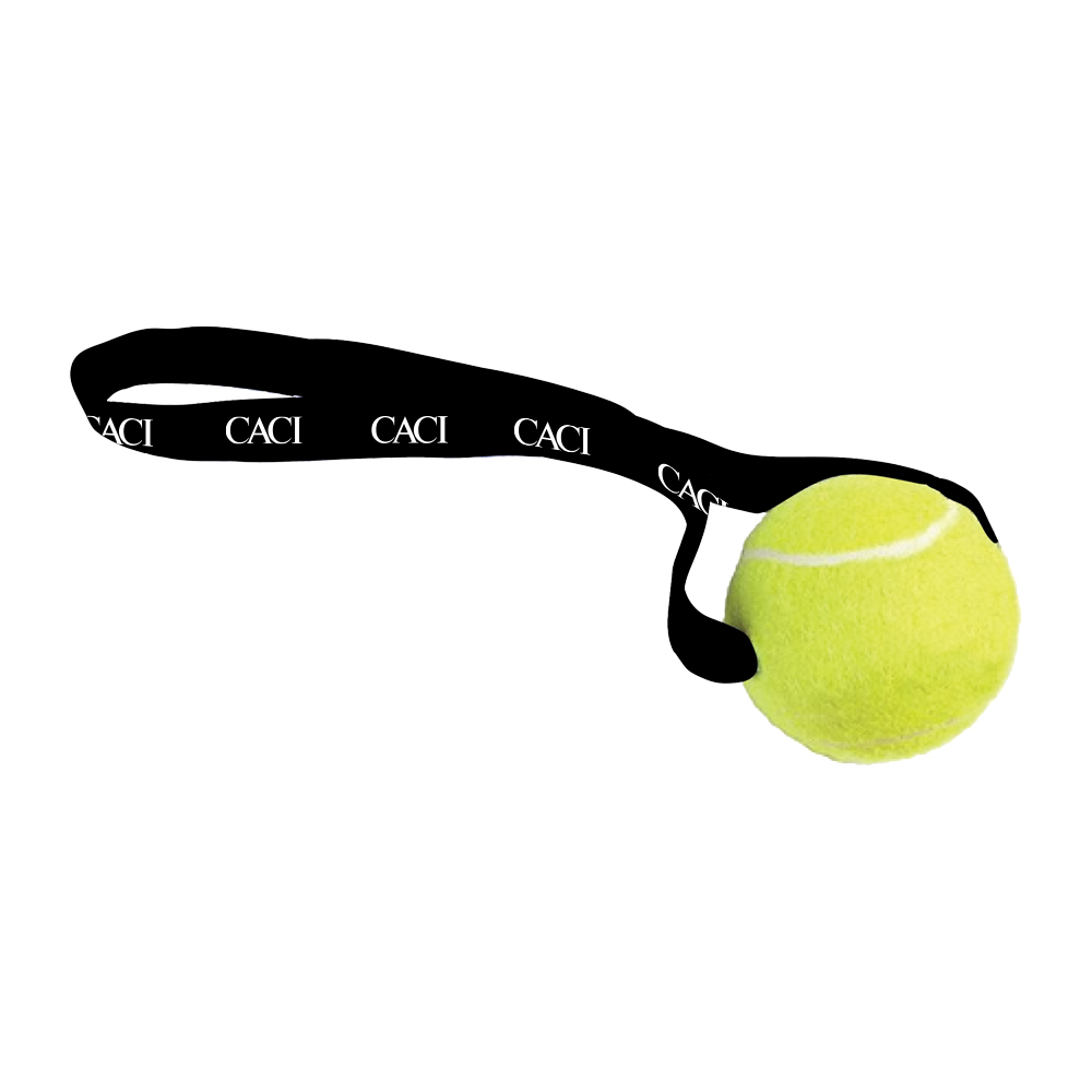 Dog Tennis Ball Toss Toy
